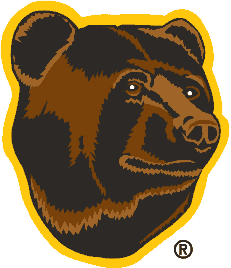 Boston Bruins 1995-2007 Alternate Logo iron on transfers for fabric...